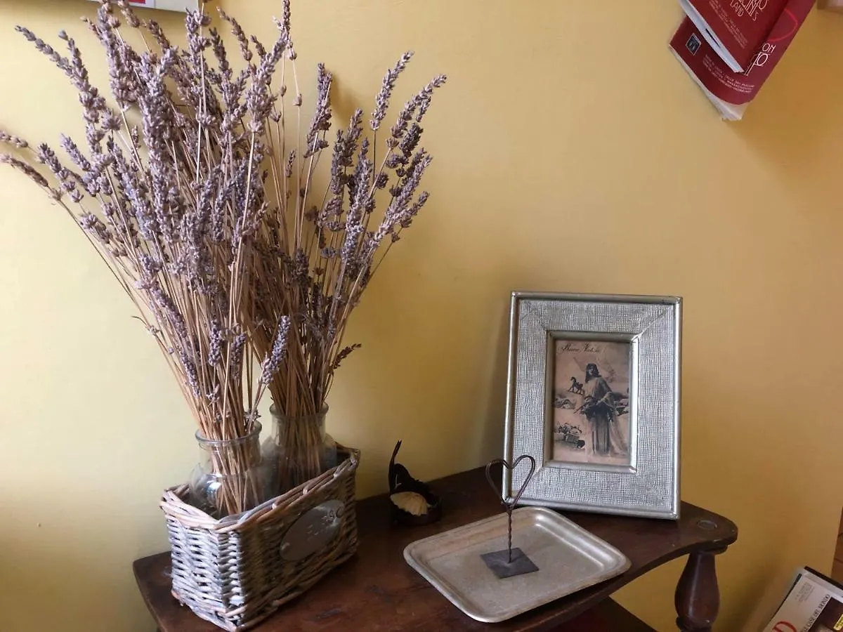 ** Bed & Breakfast Caffeletti Friendly B&B Torre del Lago Puccini Italia