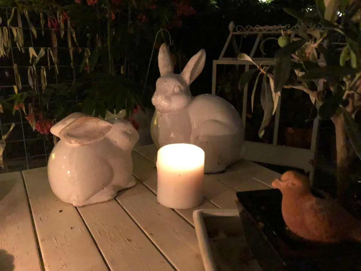 Caffeletti Friendly B&B Torre del Lago Puccini